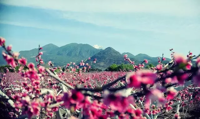 丽江户外拓展训练基地