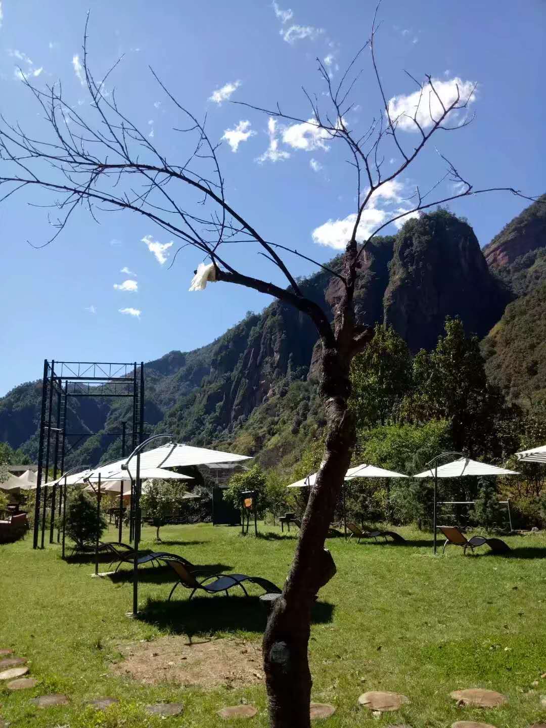 黎明帐篷营地