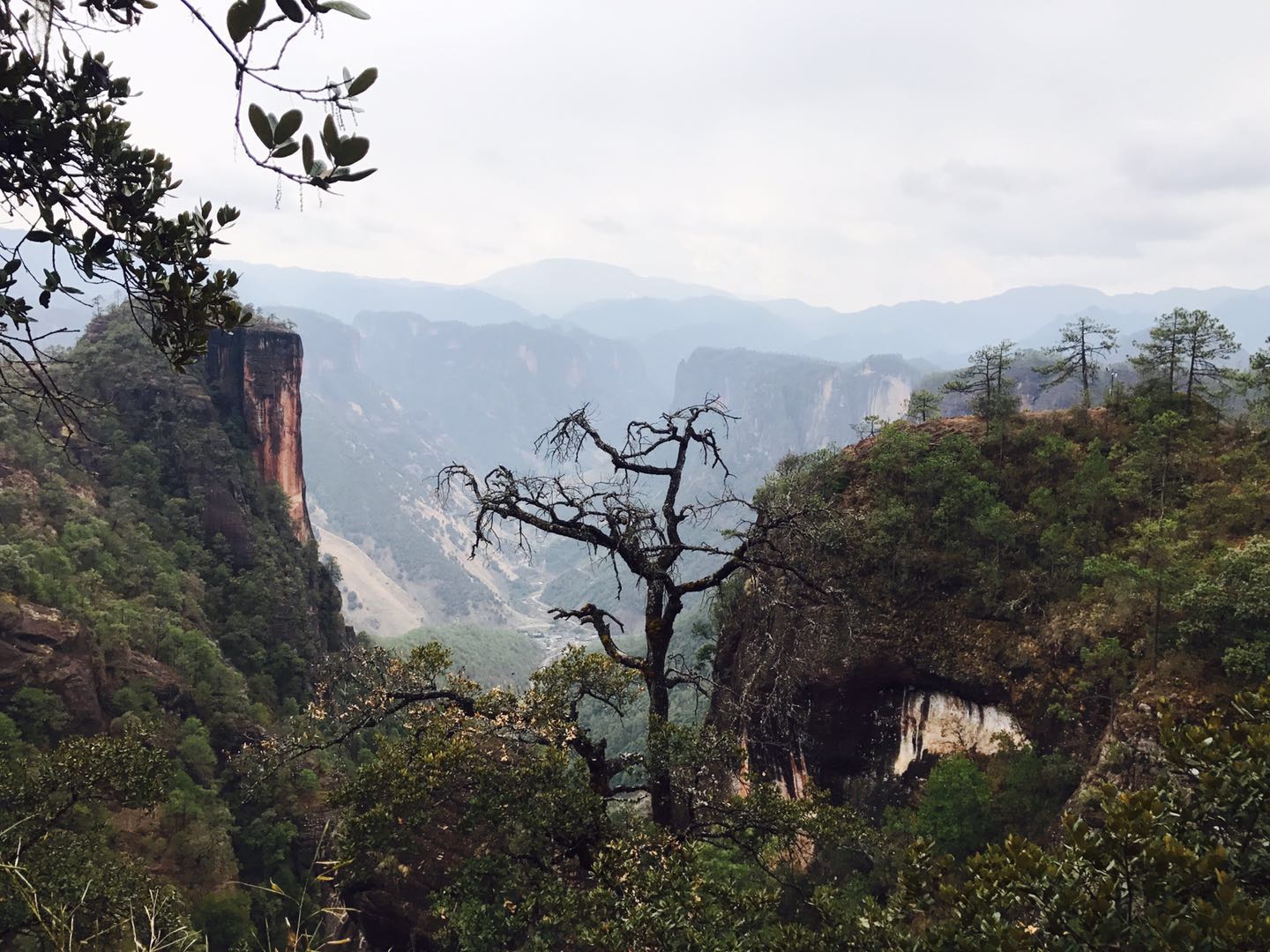 千龟山
