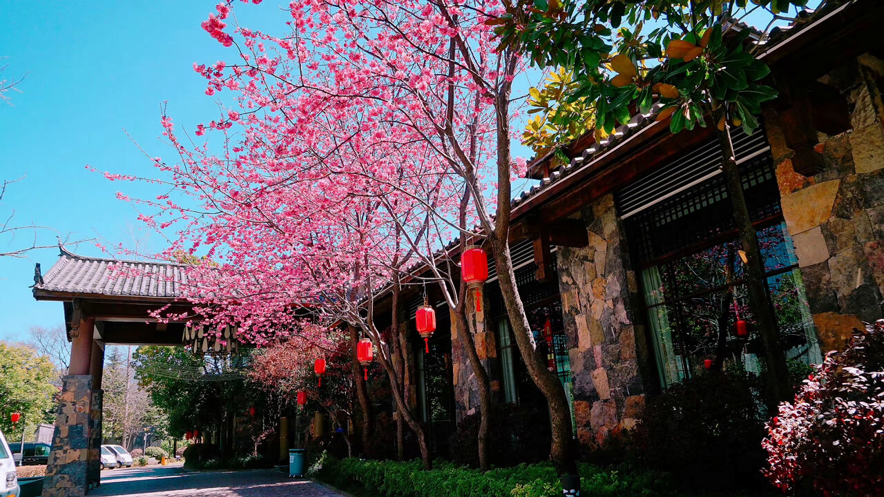 丽江私人订制