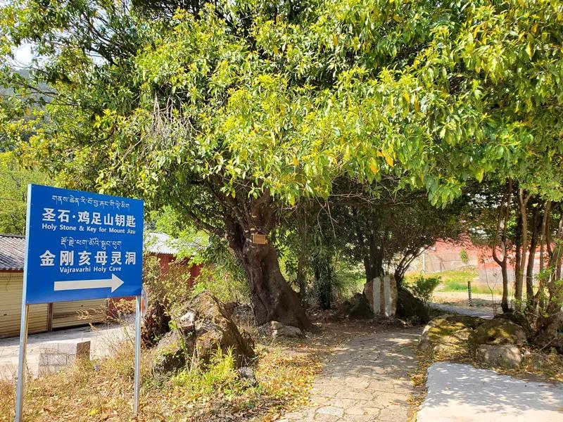 丽江文笔峰徒步线路推荐