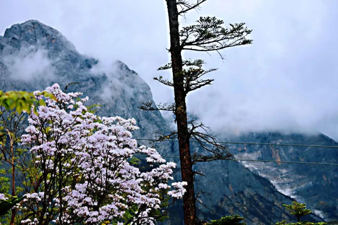 泸沽湖旅游