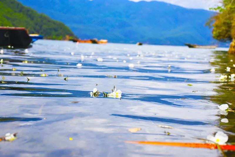泸沽湖旅游