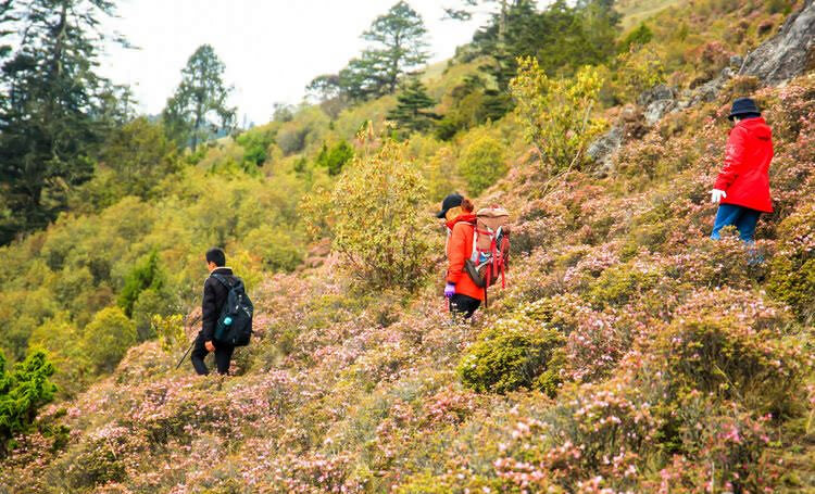 丽江石头乡桃花村户外徒步路线