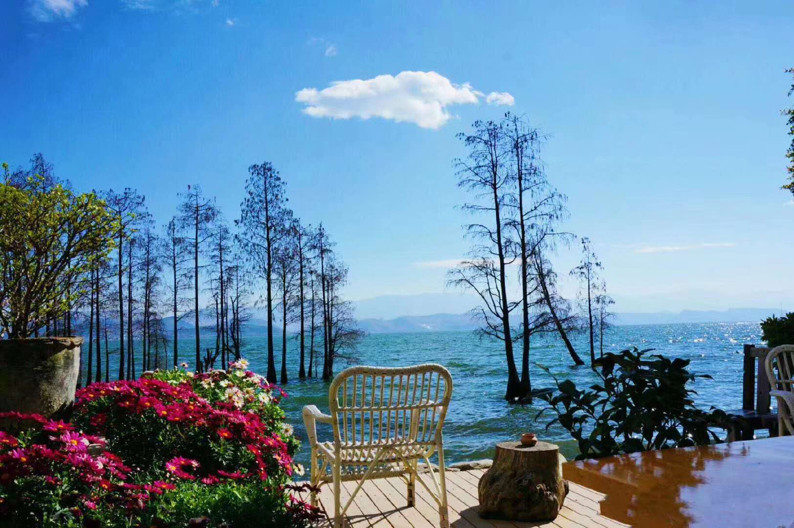 夏令营