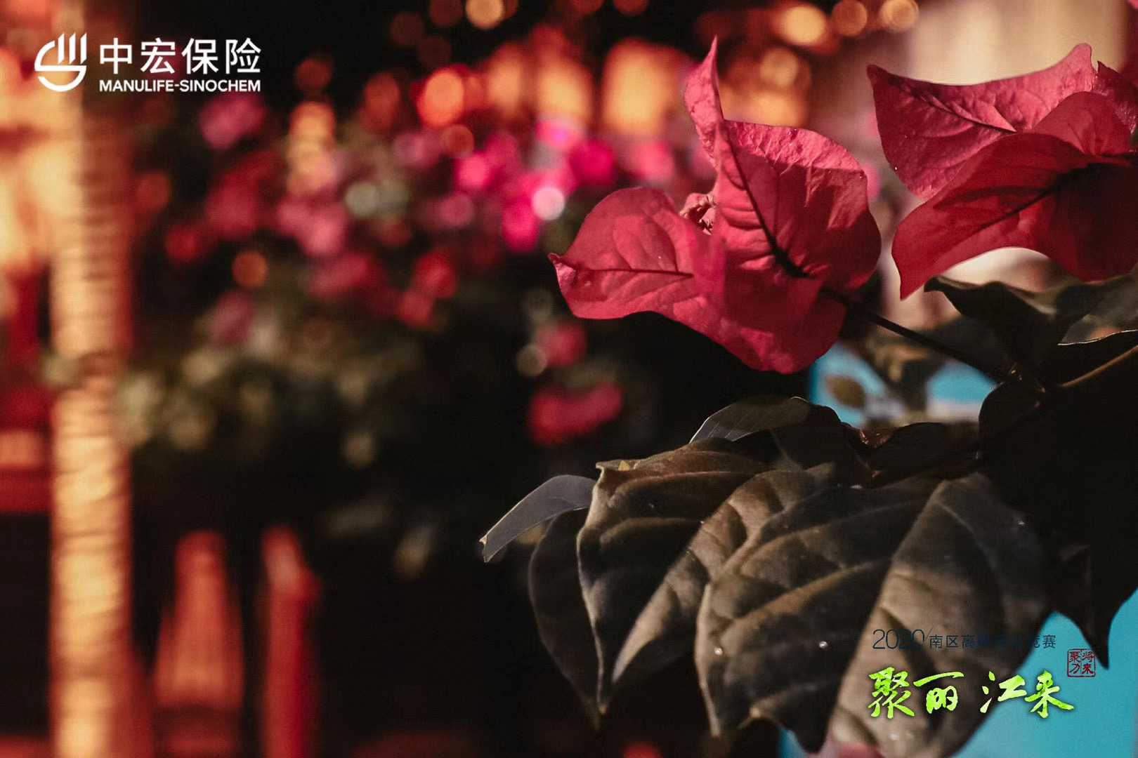丽江会展搭建公司