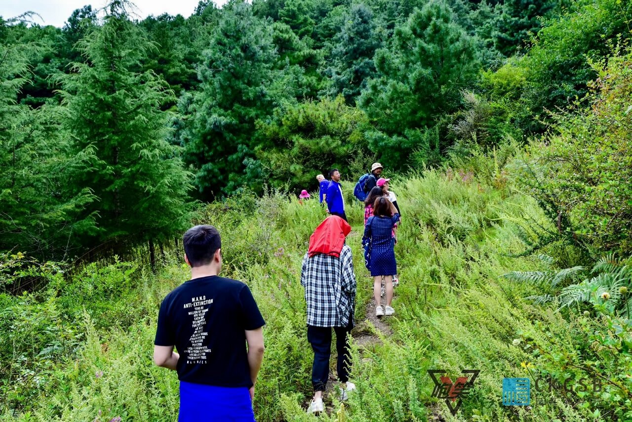 丽江茶马古道拓展团建
