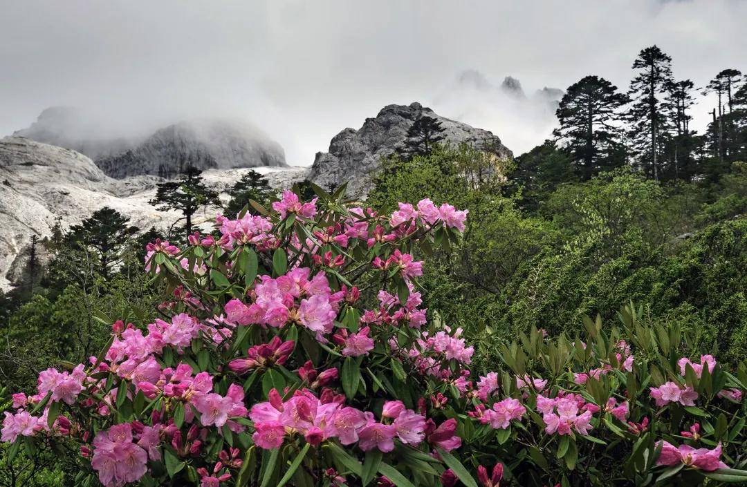 丽江 丽江