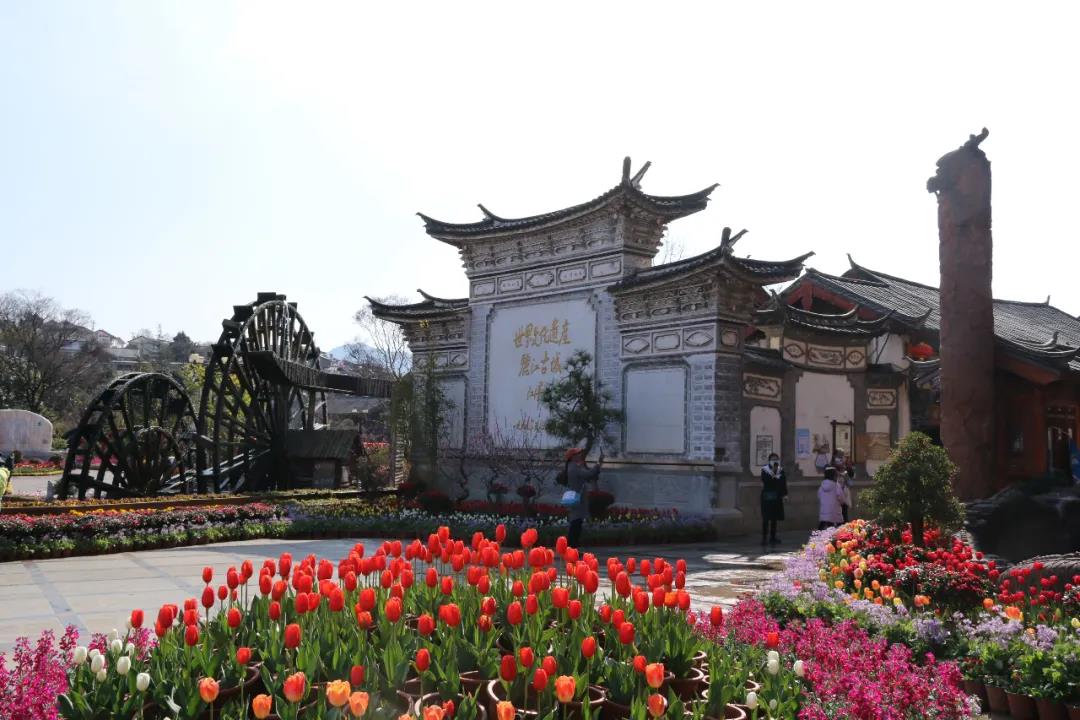 年味足、春意浓! 丽江古城春节假日旅游回暖