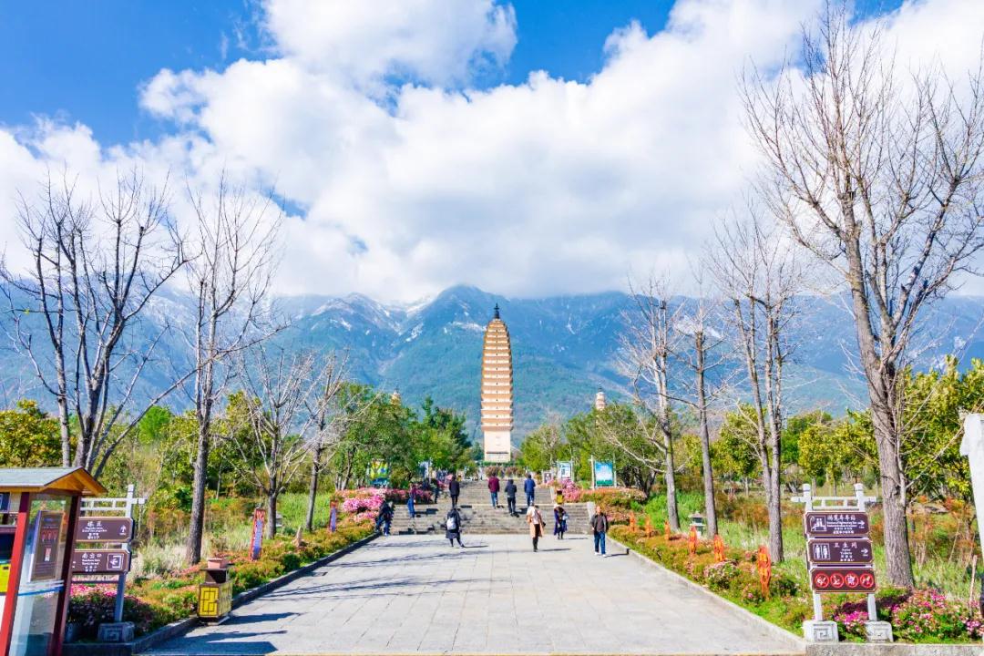 麻补