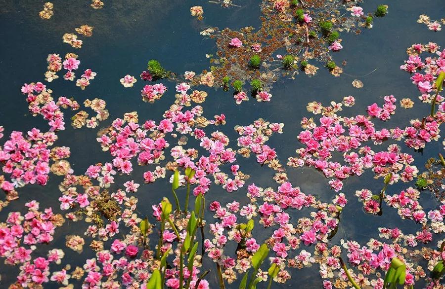 丽江