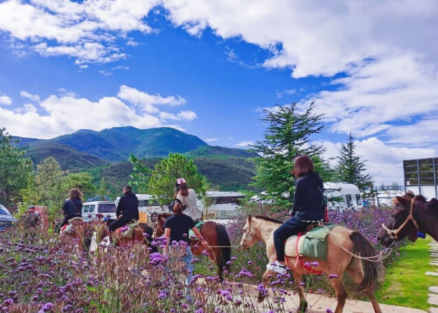 丽江东巴谷汽车旅游营地