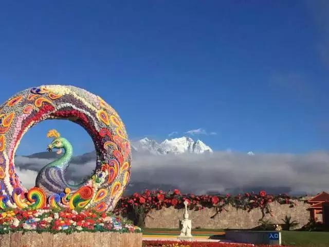 丽江雪山玫瑰庄园