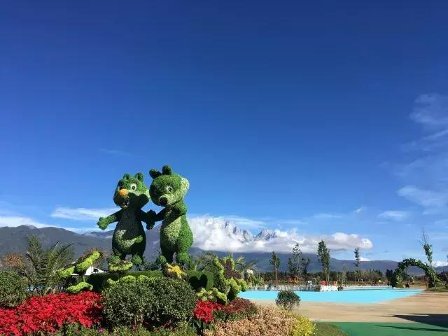 丽江雪山玫瑰庄园