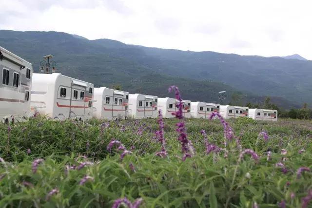丽江雪山玫瑰庄园