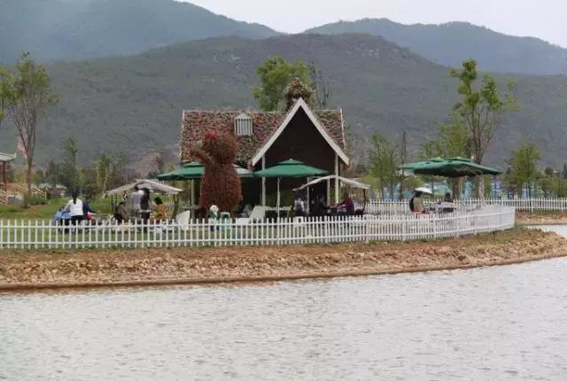 丽江雪山玫瑰庄园