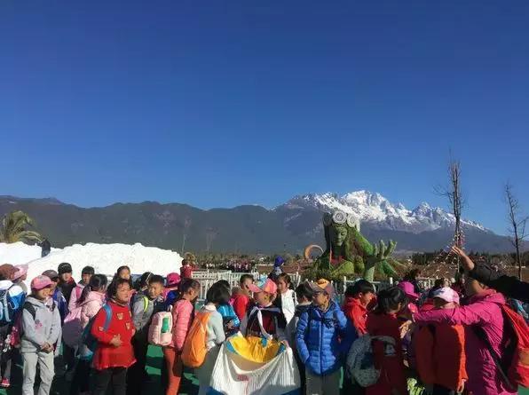 丽江雪山玫瑰庄园