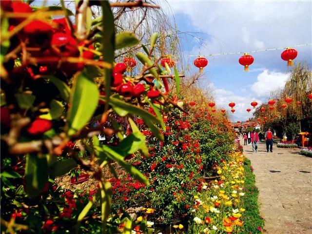 丽江