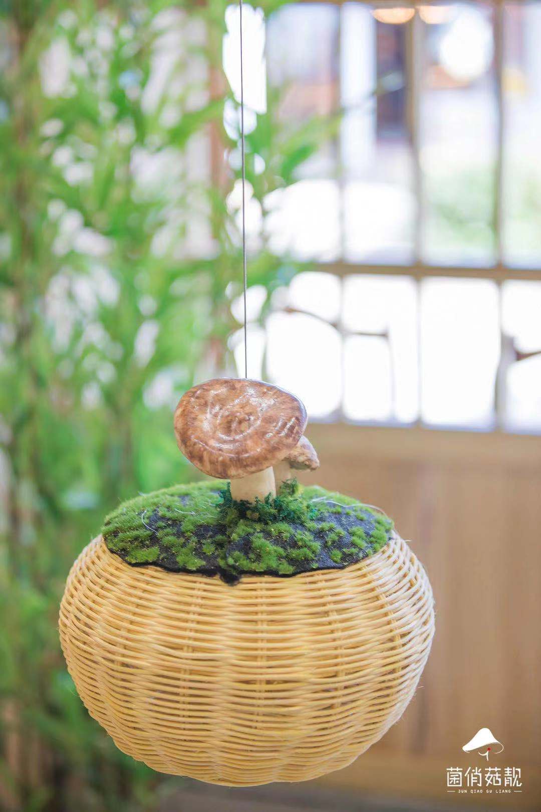 丽江古城菌俏菇靓餐厅