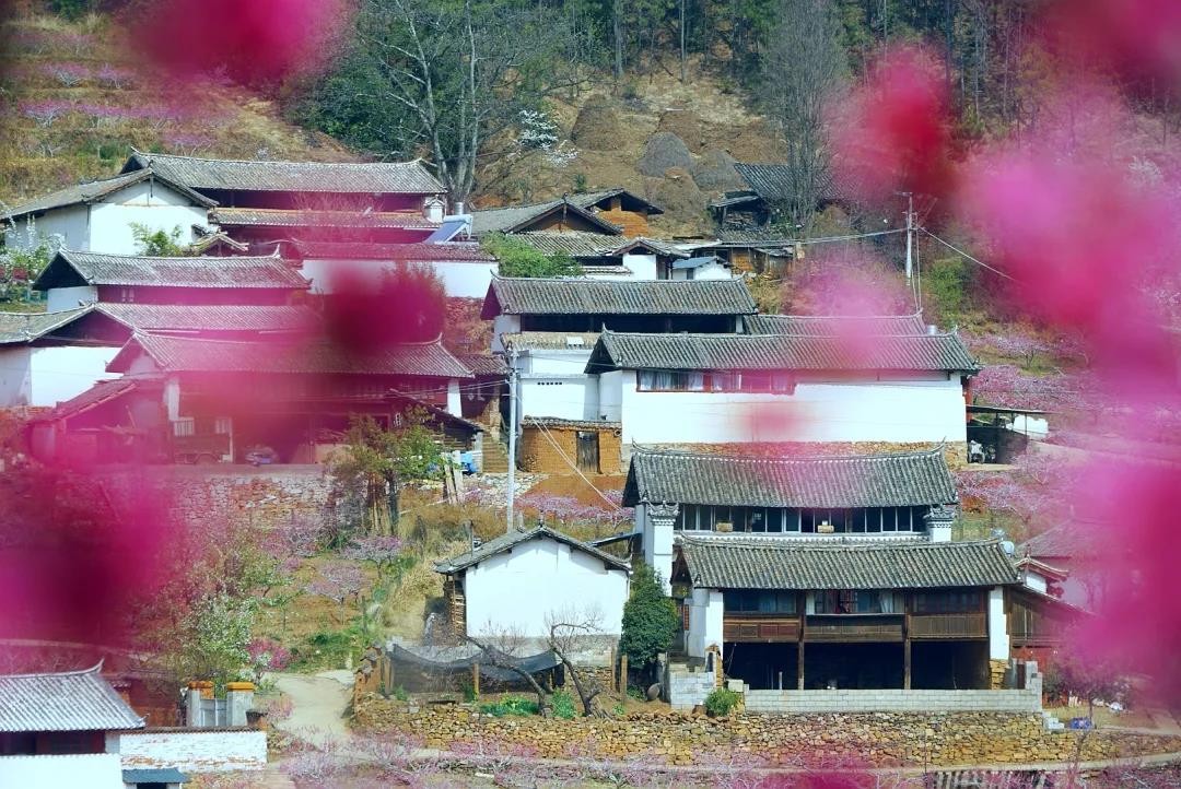 “郭靖”、“黄蓉”喊你来“桃花岛”过日子……