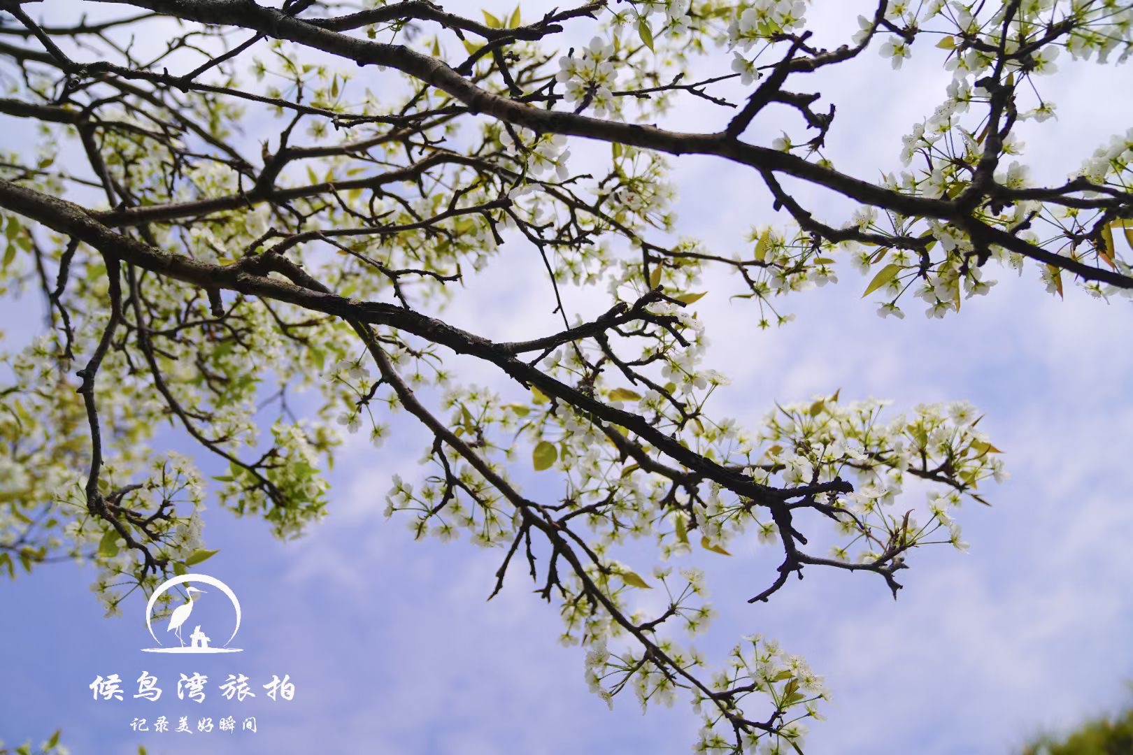 丽江拉市海候鸟湾户外拓展基地