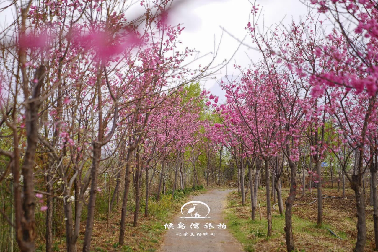 丽江拉市海候鸟湾户外拓展基地