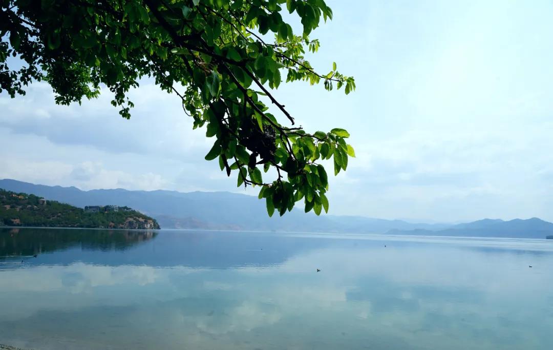 五月初的泸沽湖 欣然自得地展示着自己幽微的变化 时光在这里温柔地流逝