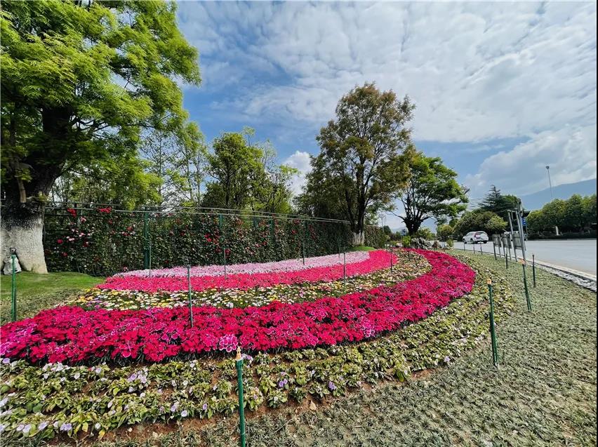 丽江