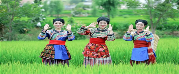 相约水乡，邂逅激情！华坪县新庄乡首届乡村旅游节即将开幕