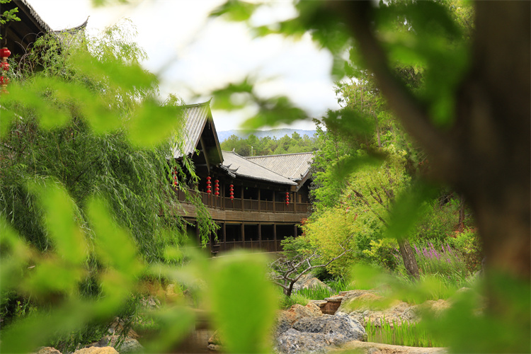 丽江东巴谷婕珞芙山野酒店