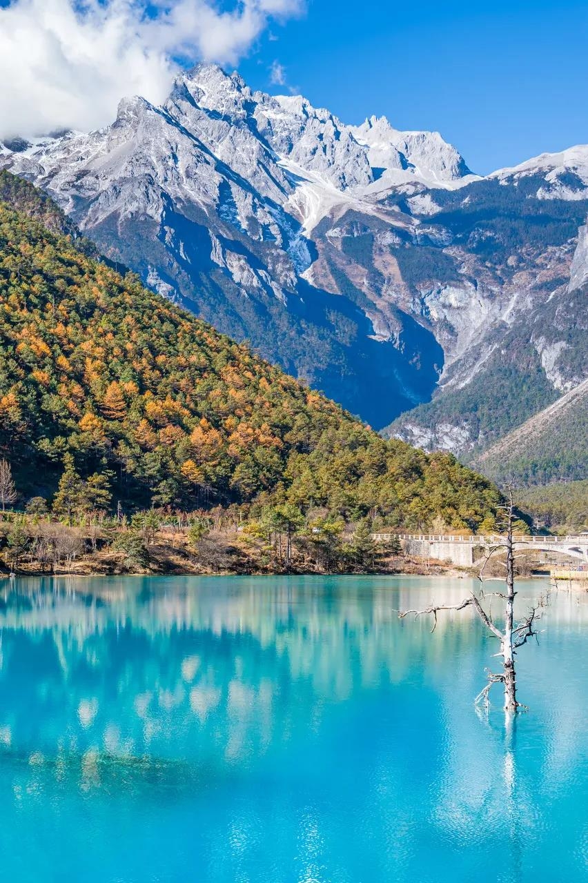 玉龙雪山的夏天缤纷多彩,玩一次"夏天的雪"最美的风景