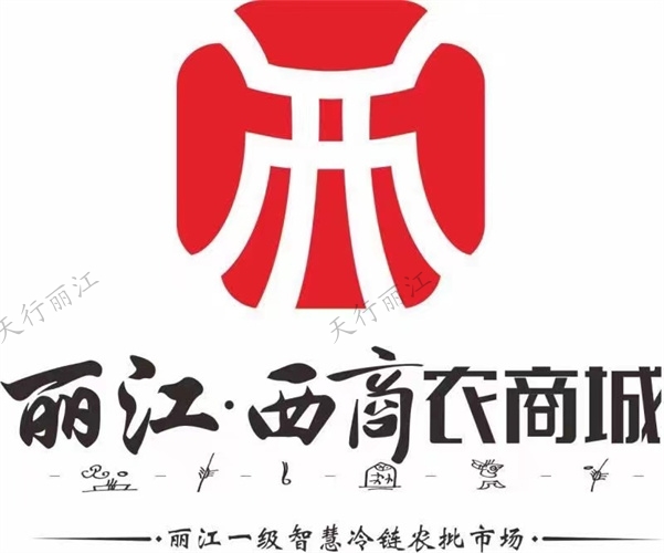 丽江西商农商城产品发布会