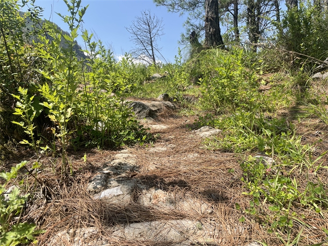 丽江纳西生活体验团建