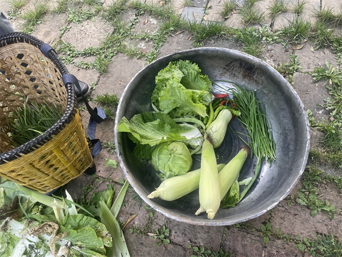 丽江纳西生活体验团建