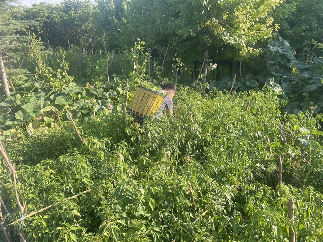 丽江纳西生活体验团建