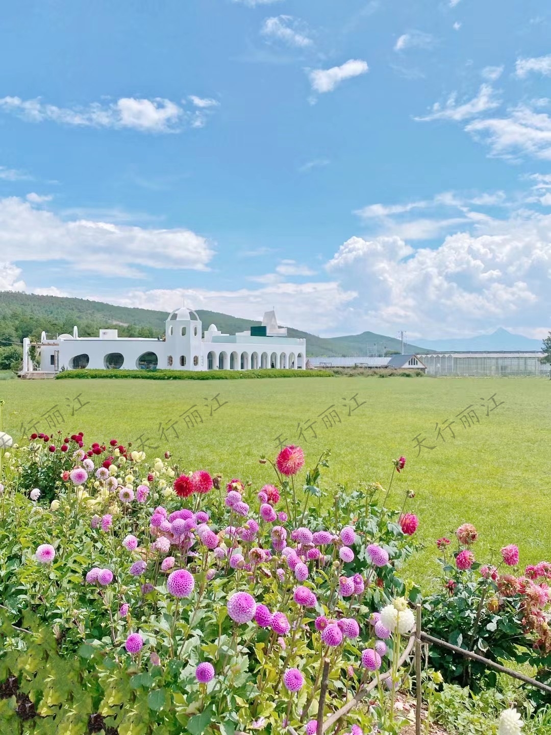 丽江听花谷餐厅