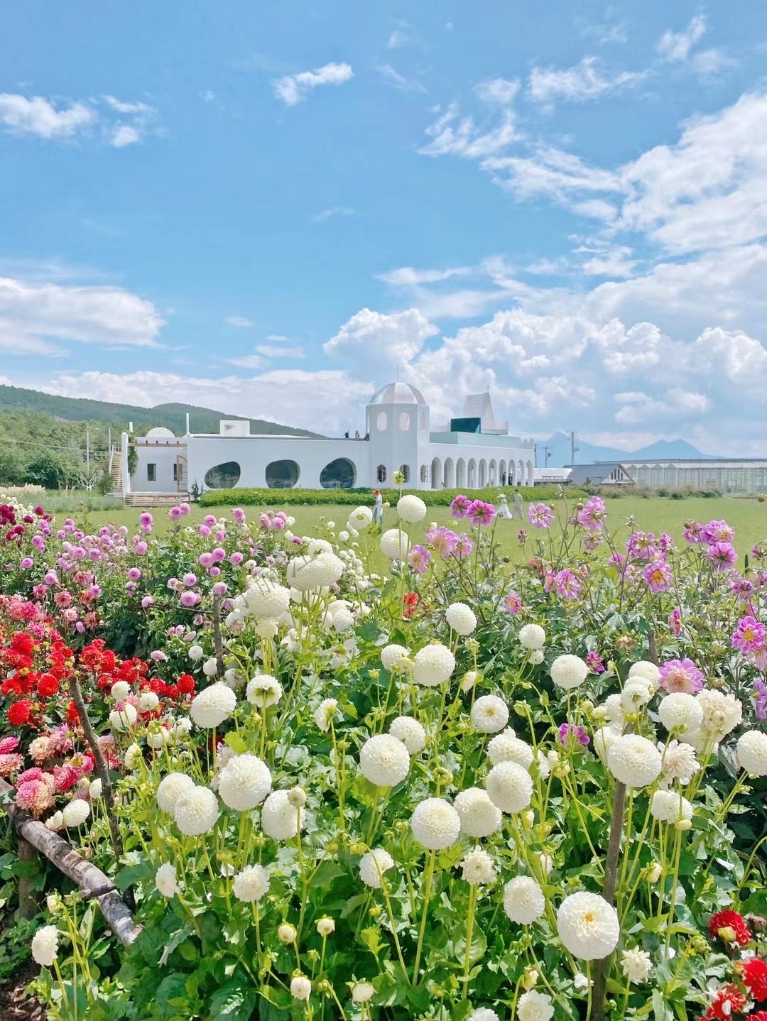 丽江听花谷餐厅