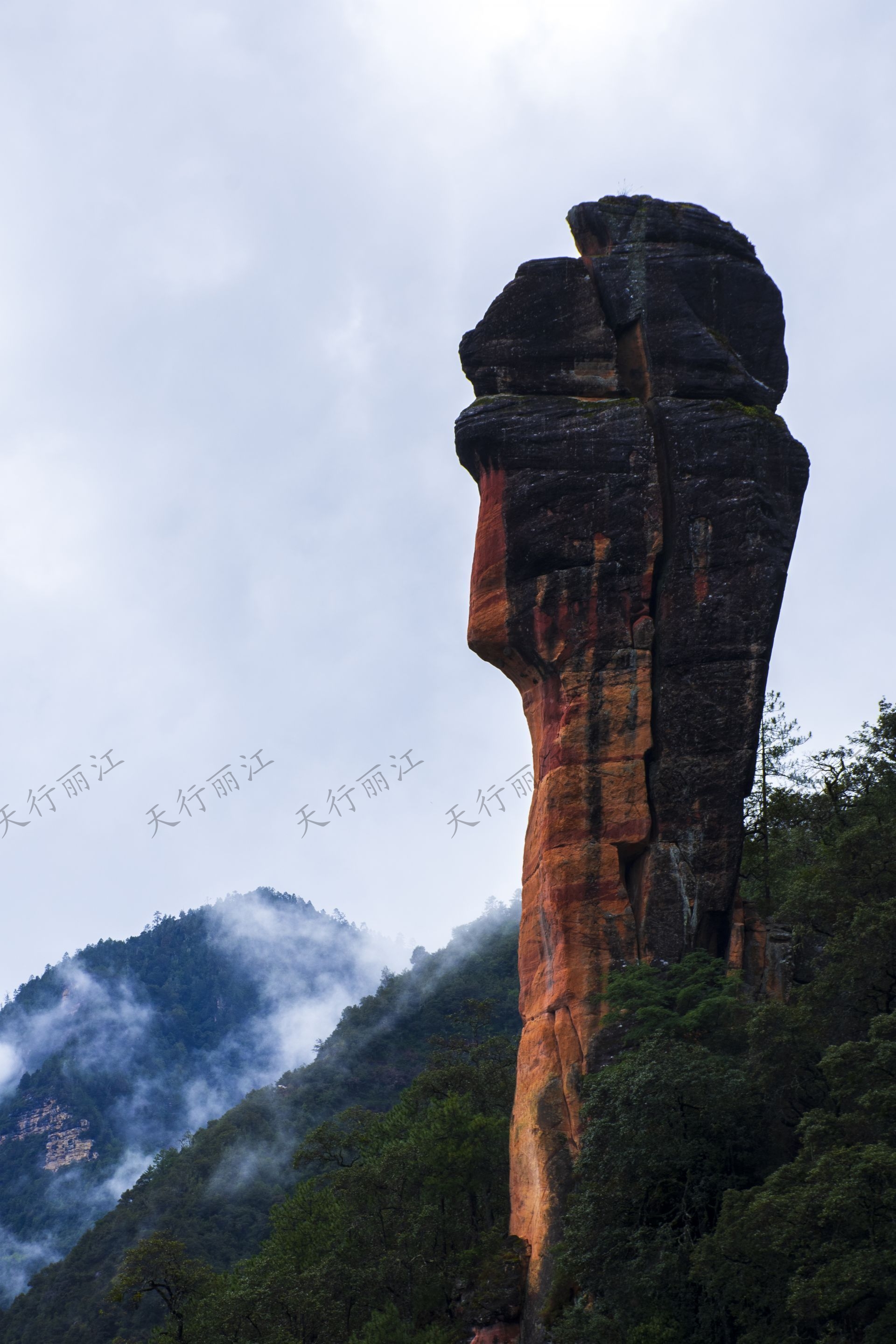 丽江老君山黎明景区因其避世的清幽、壮美的丹霞，成为了一处令人向往的秘境。 在这里，可以游壮美千龟山。景区以丹霞地貌闻名，是国内面积最大、发育最完整的丹霞地貌。以千龟山为代表，其形如乌龟的壮丽景观，堪称中国一绝。游人可乘坐索道，轻松游览这一奇观。