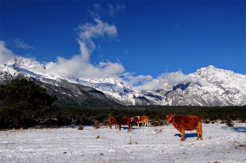 丽江玉龙雪山
