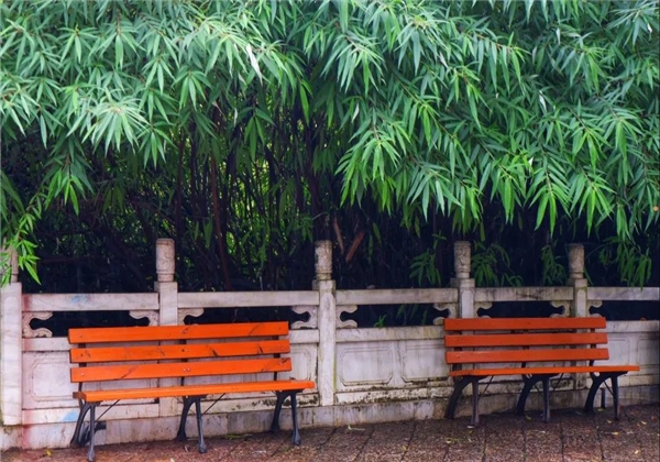 烟雨缭绕，黑龙潭与诗平分秋色