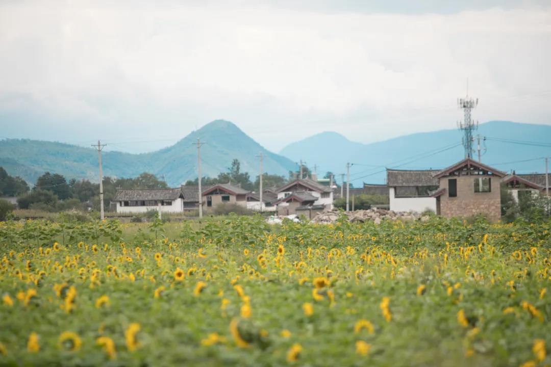 丽江