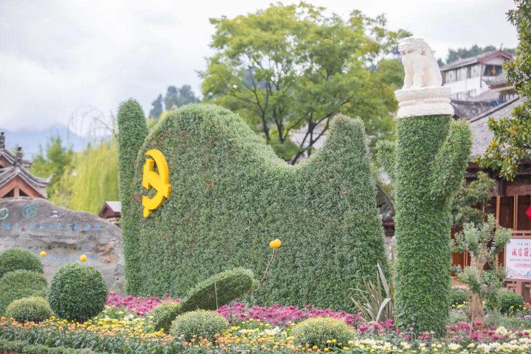 丽江古城菊花展