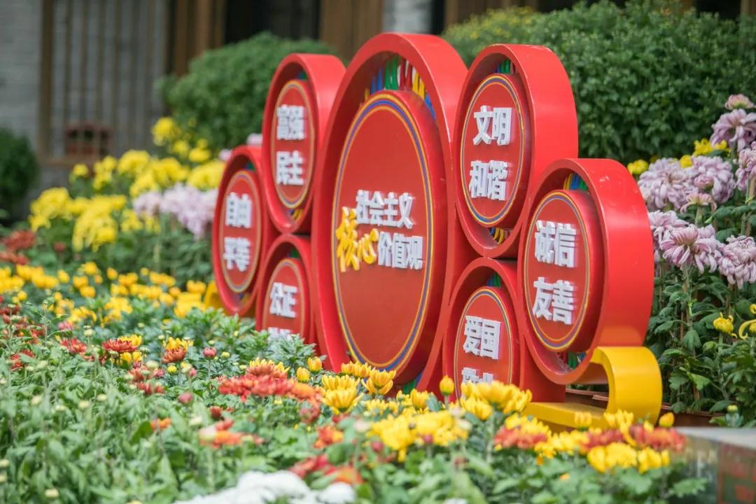 丽江古城菊花展