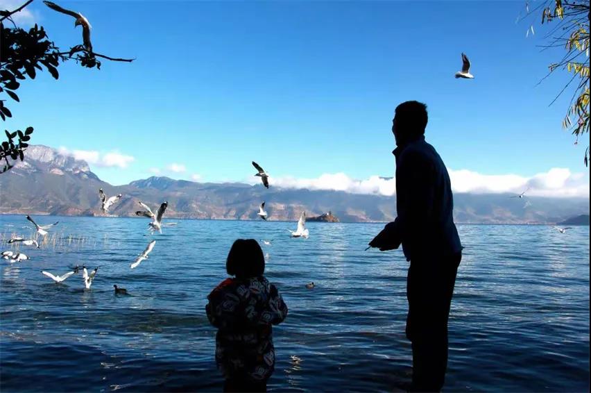 丽江传媒公司：梦境何处寻？——丽江打卡景点之泸沽湖旅游攻略