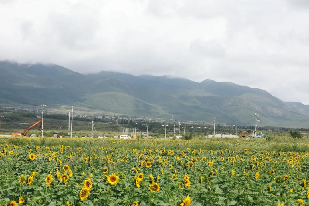 丽江传媒公司：丽江这个“洛克故居”很有故事 是丽江小众旅游景点之一