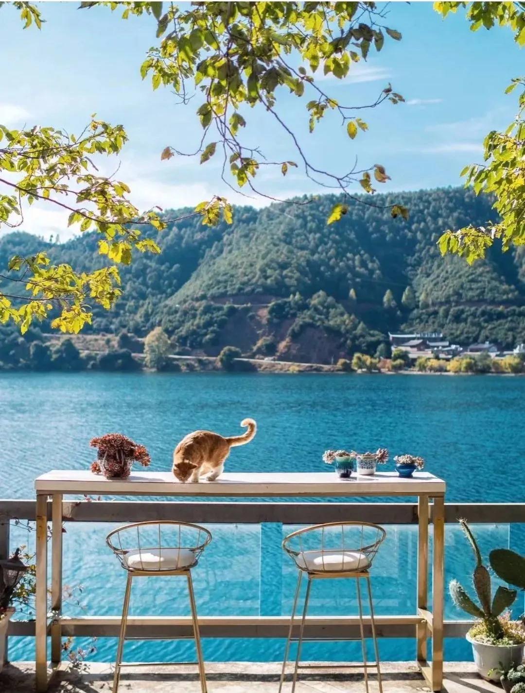 泸沽湖旅游