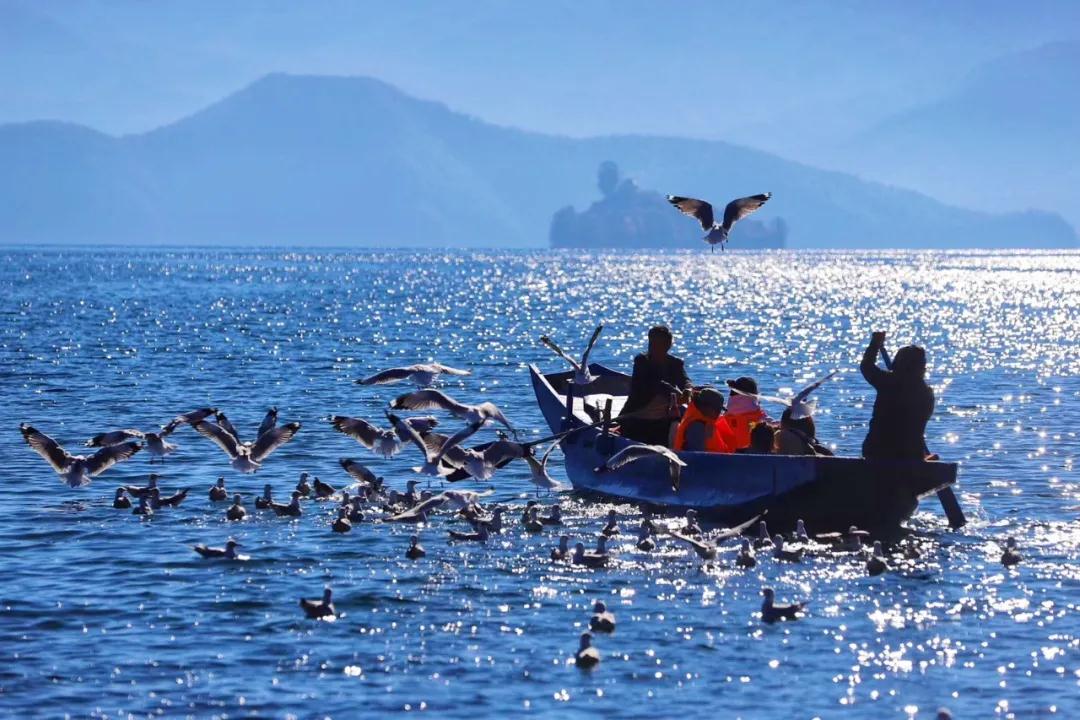 泸沽湖旅游