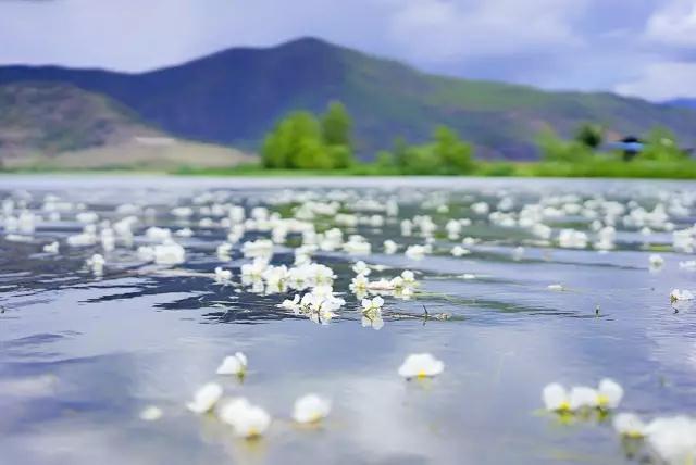 泸沽湖旅游