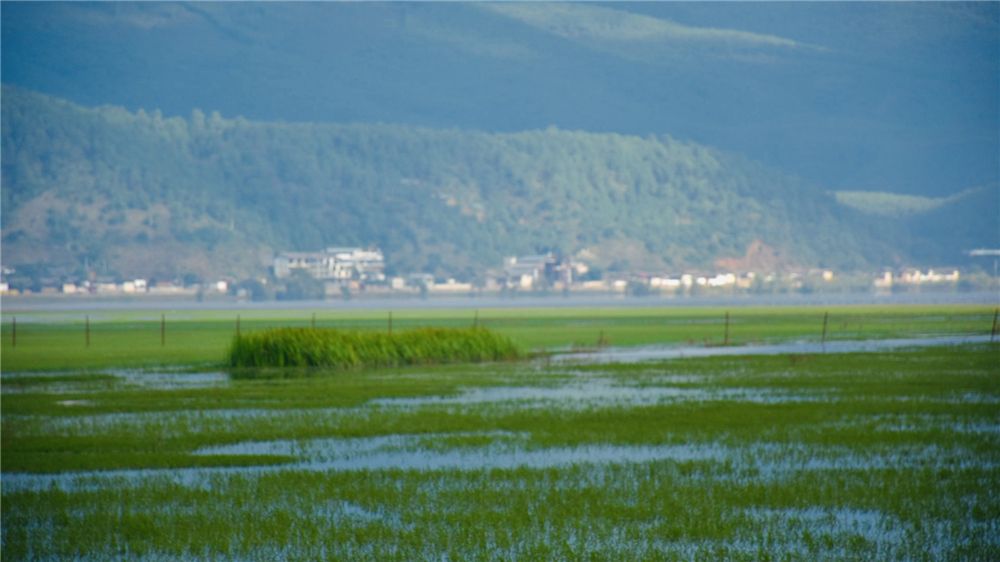 丽江拉市海
