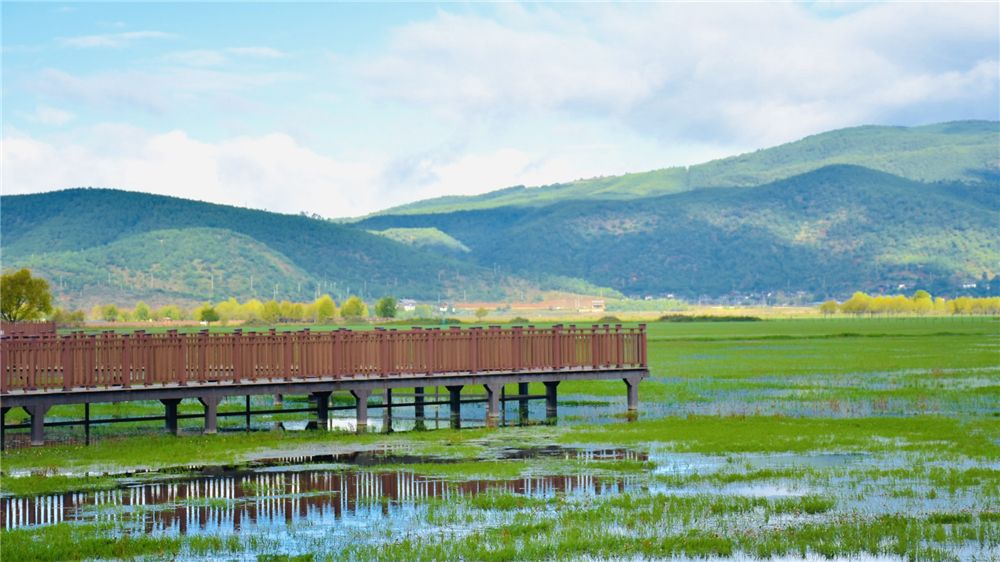 丽江拉市海